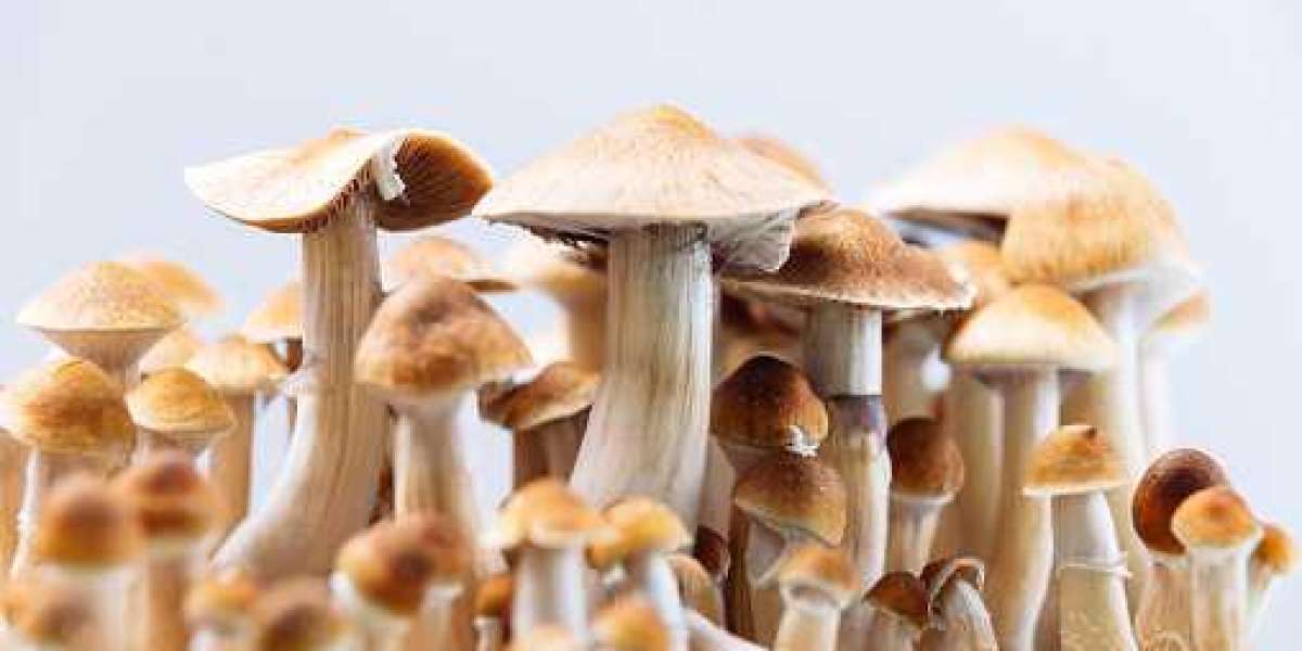 Magic mushrooms In Missouri