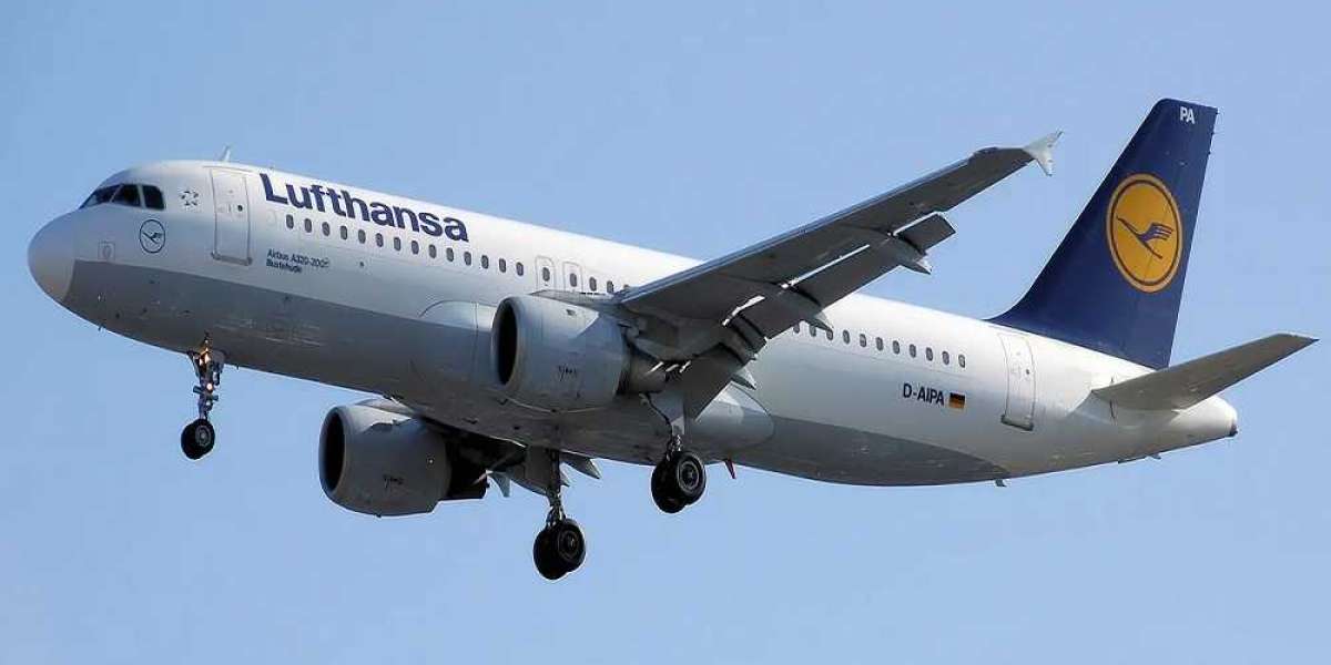 Lufthansa Unaccompanied Minor Form
